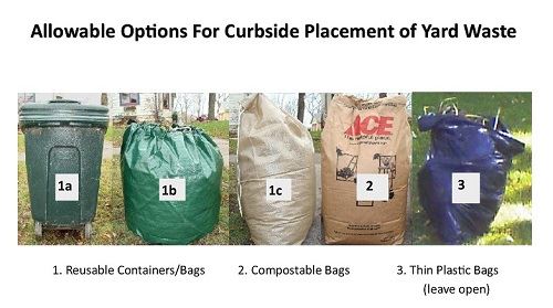 WebsiteYardwasteBagPhoto_edited