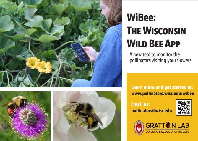 WiBee App carousel 1