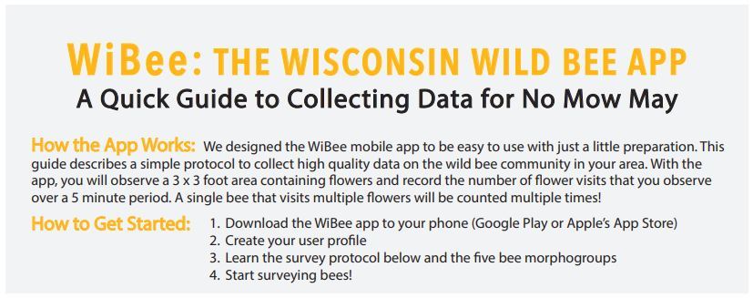 WiBee App carousel 2