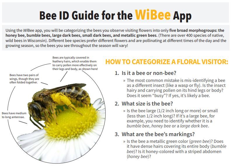 WiBee App carousel 3