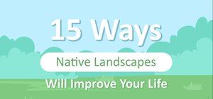 Native Landscapes infographic thumbnail