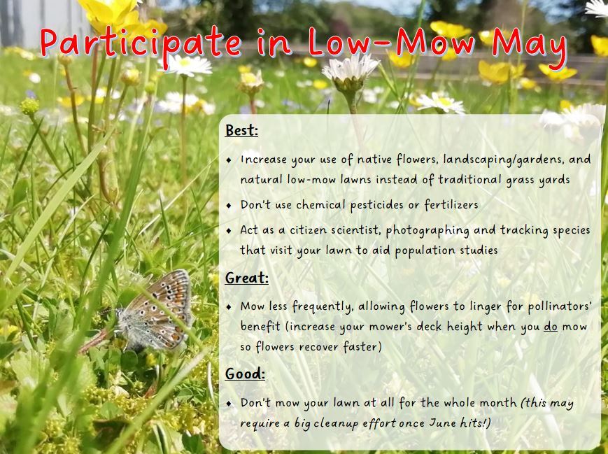 low-mow May activities