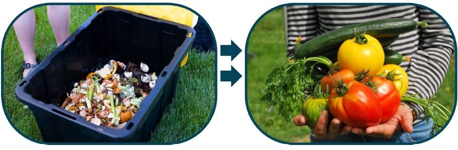 Food Waste image for website