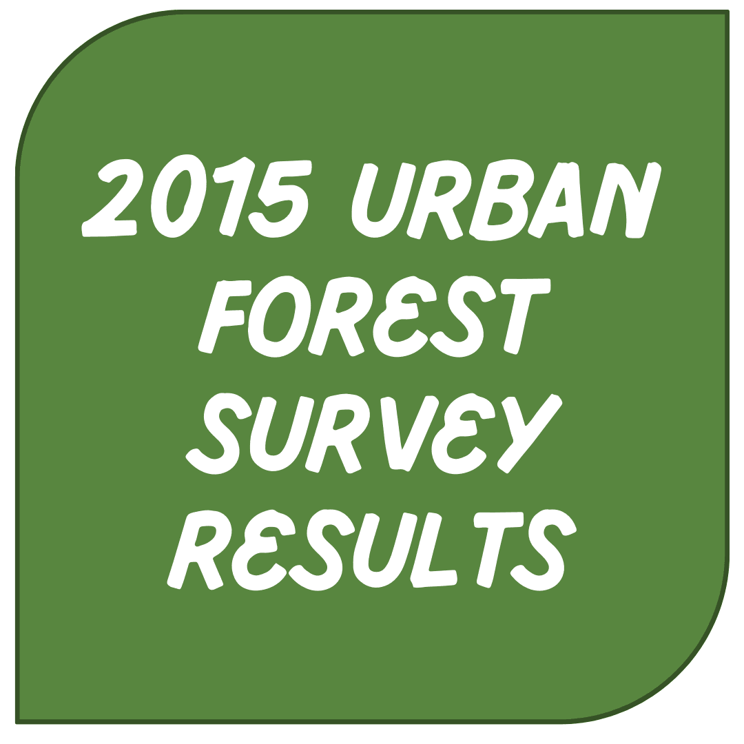 Icon Link - Survey Results Opens in new window