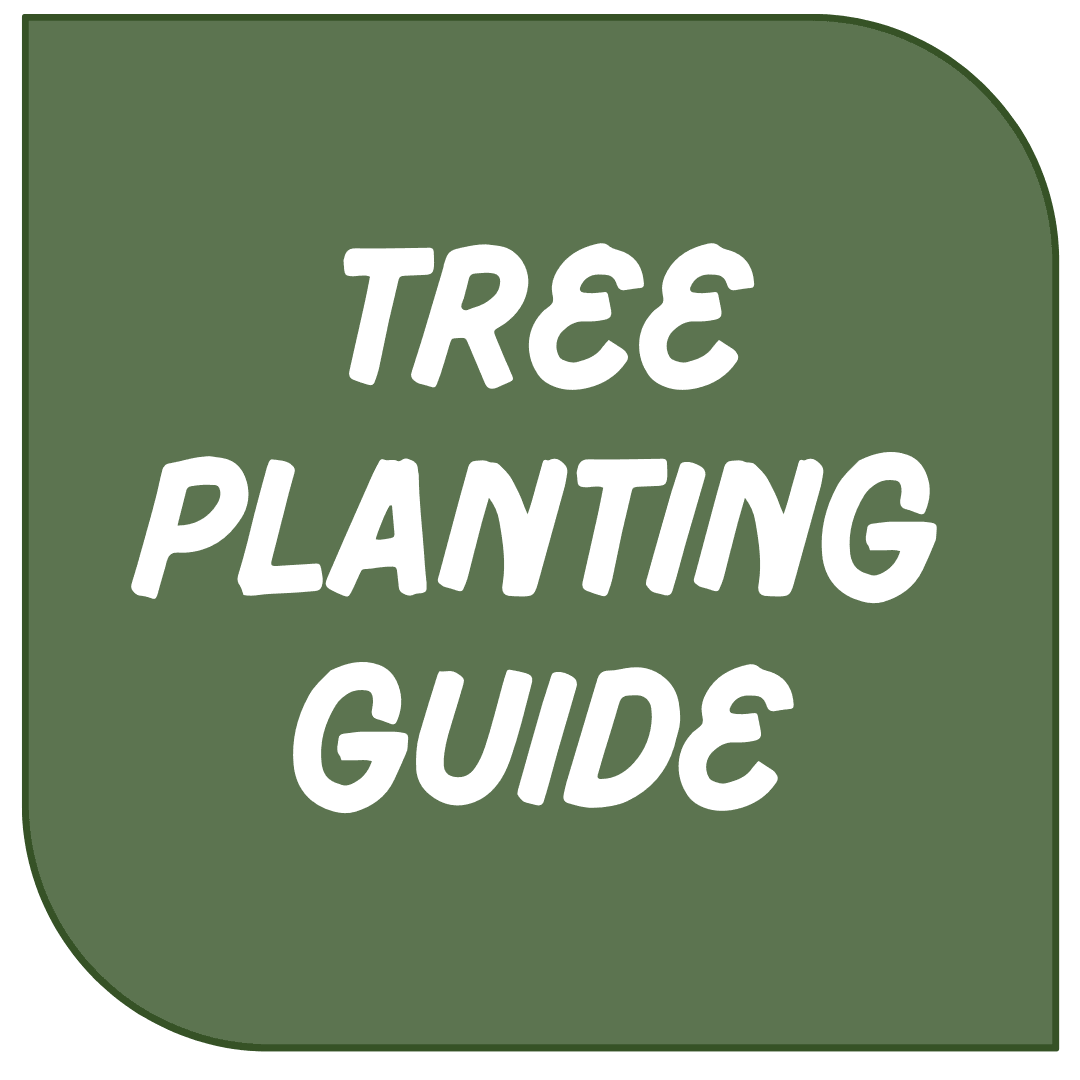 Icon Link - Tree Planting
