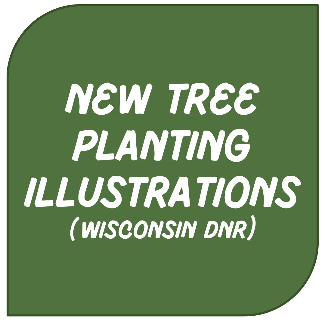 Icon Link - New Tree Illustrations