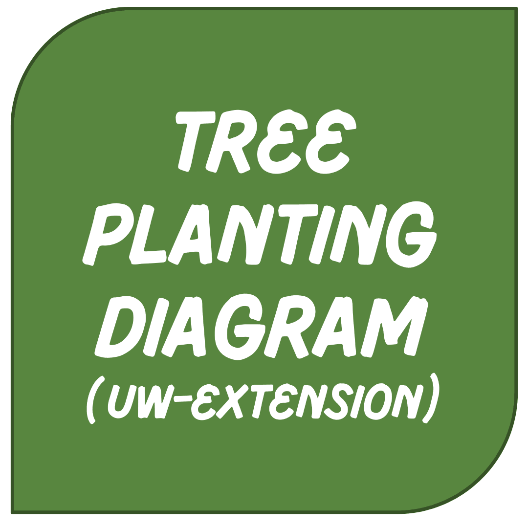 Icon Link - Tree Planting Diagram