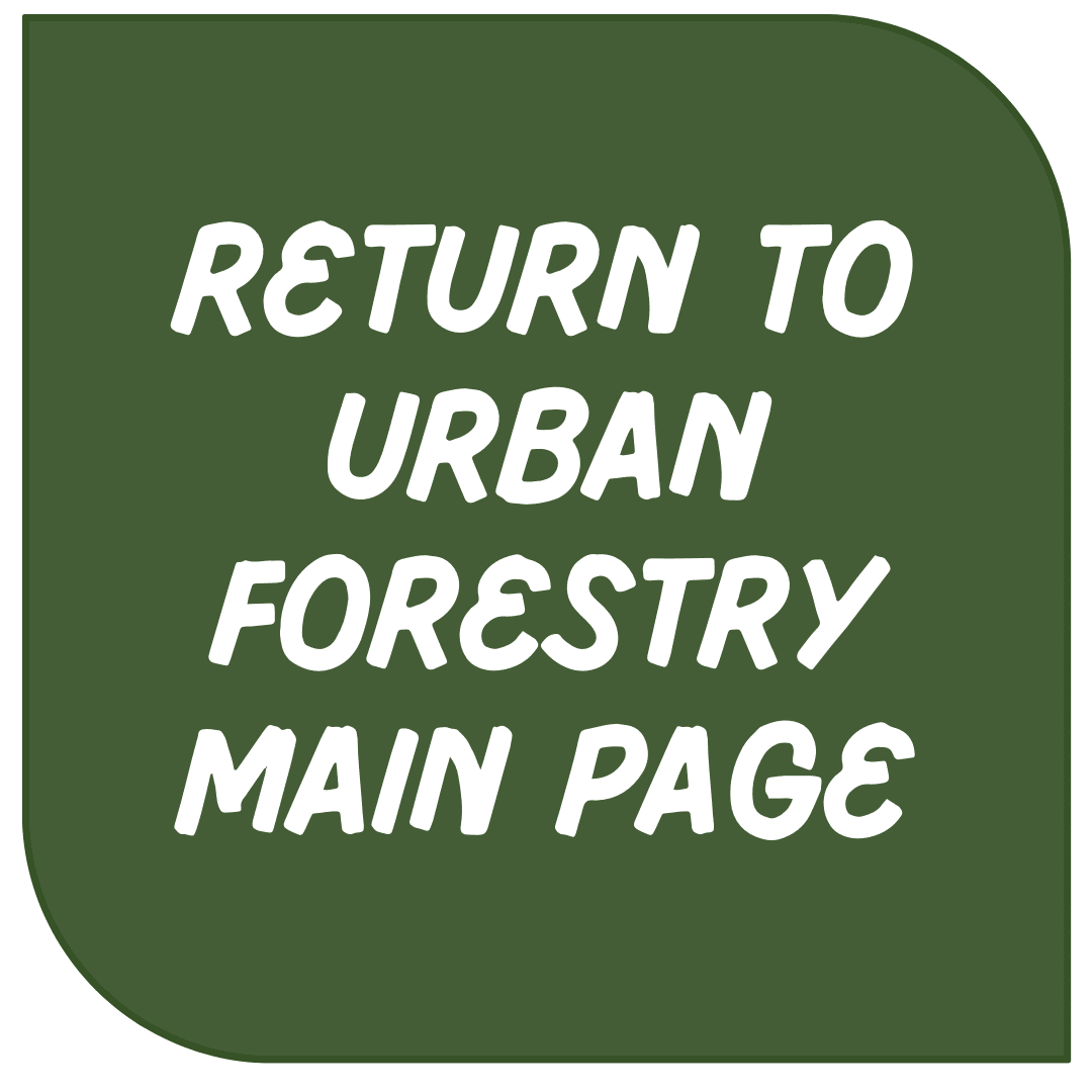 Icon Link - Return to Forestry Main