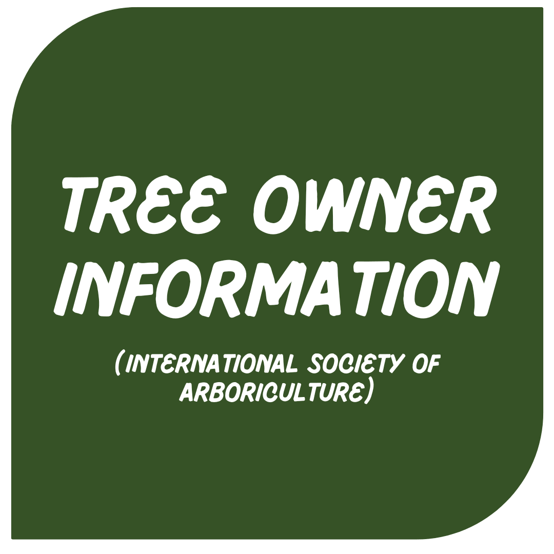 Icon Link - Tree Owner
