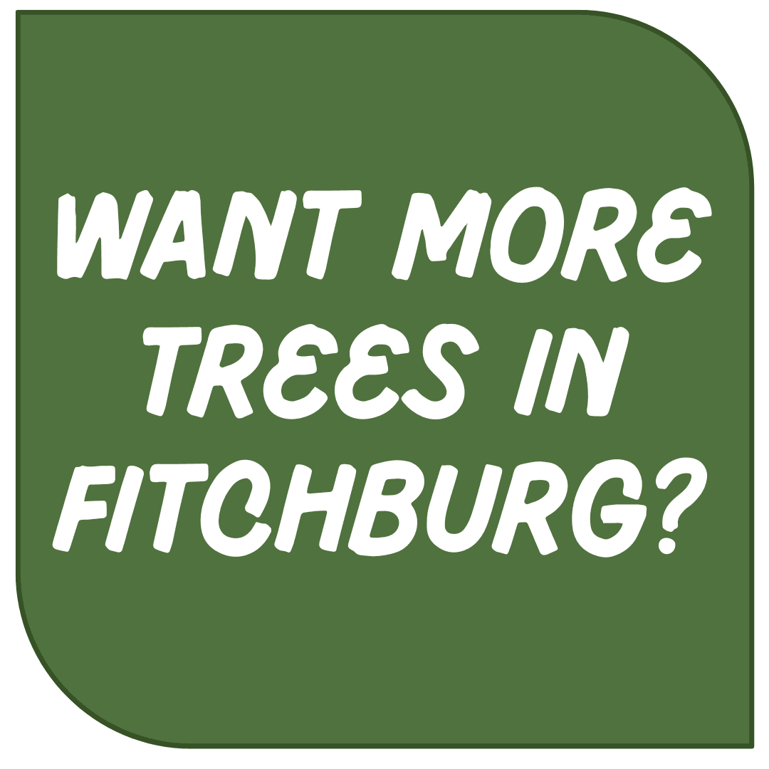 Icon Link - More Trees