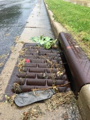 Storm Drain Picture1