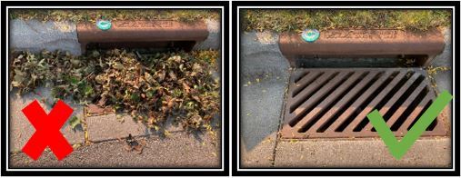 Storm Drain Picture3