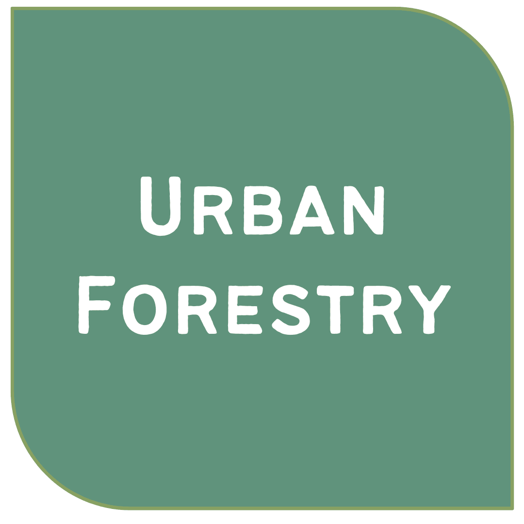 Icon Link - Urban Forestry