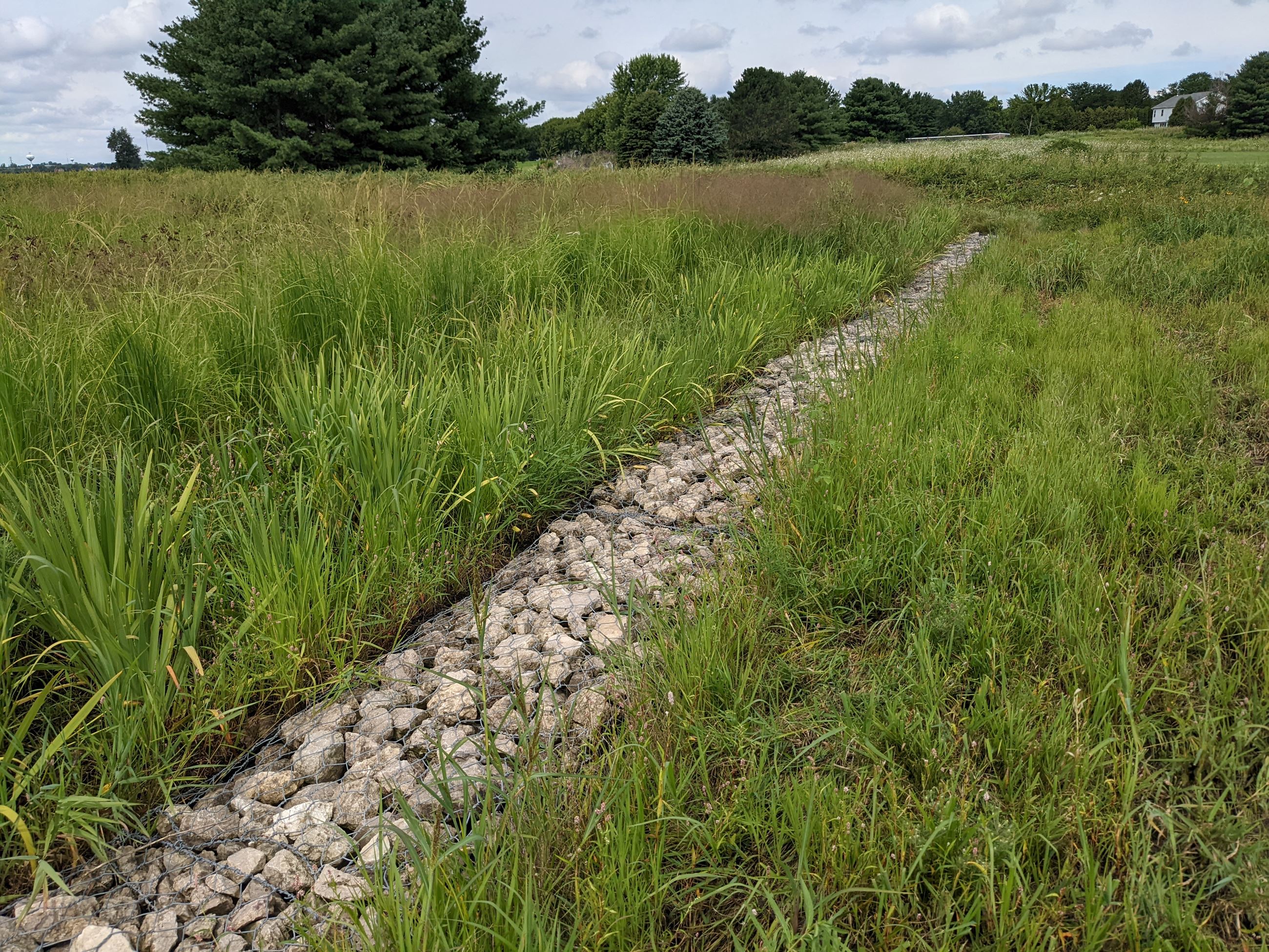 PXL_20220815_174319854