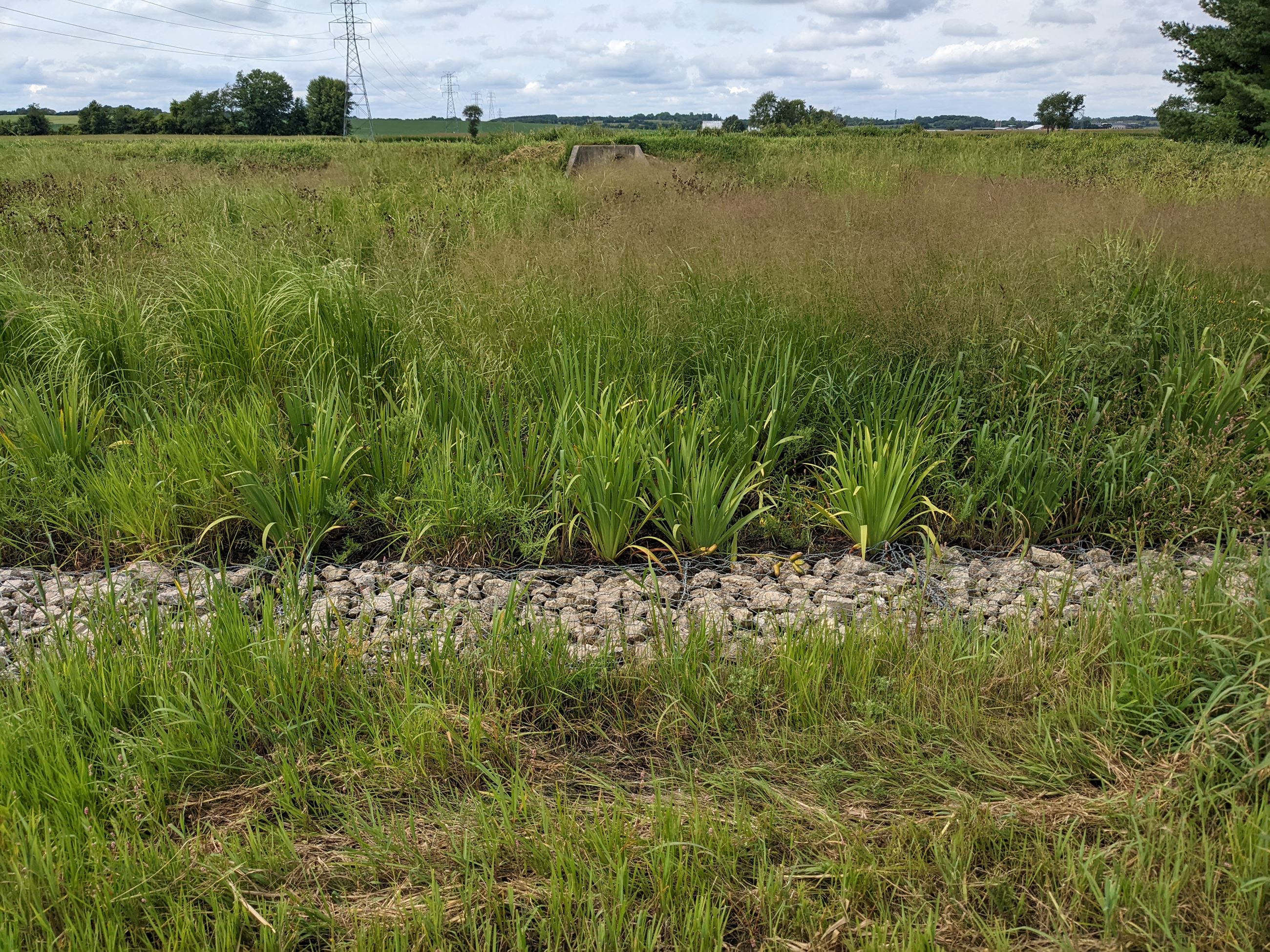 PXL_20220815_174253524