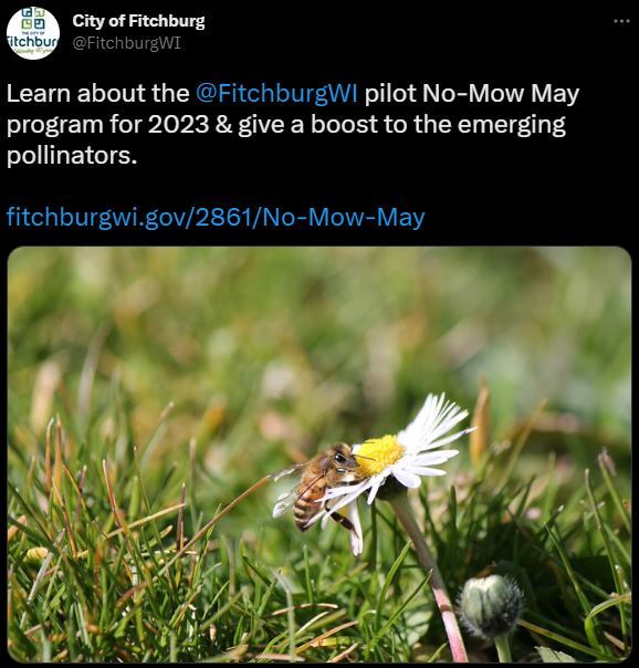 Low-Mow May Twitter post