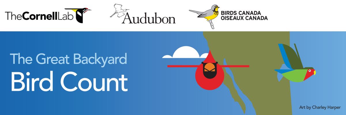 GBBC Harper image for Citizen Science page