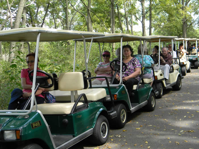 Golf Cart Ride 5